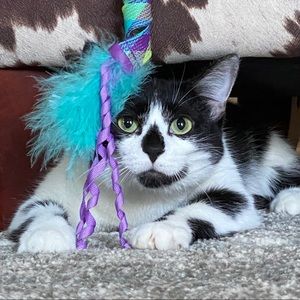 Meet your Posher, Kaitlin